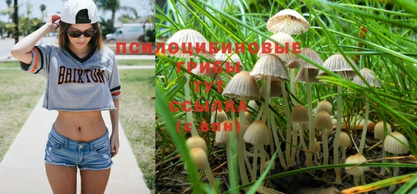 прущие крисы Остров