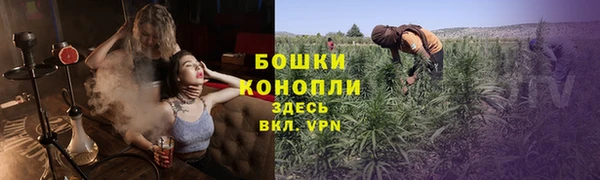 гашик Магас