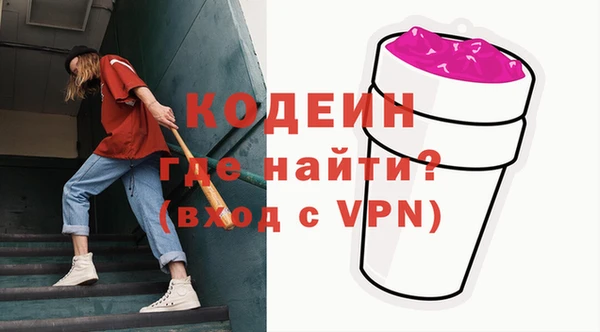шишки Осинники