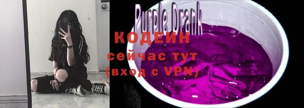 шишки Осинники