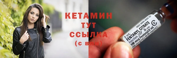 шишки Осинники