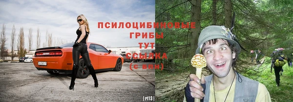 МДПВ Лиски