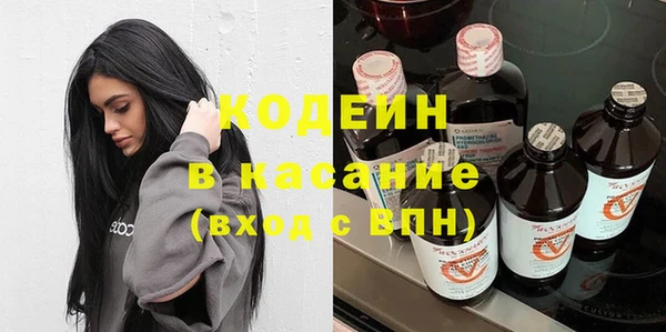 шишки Осинники