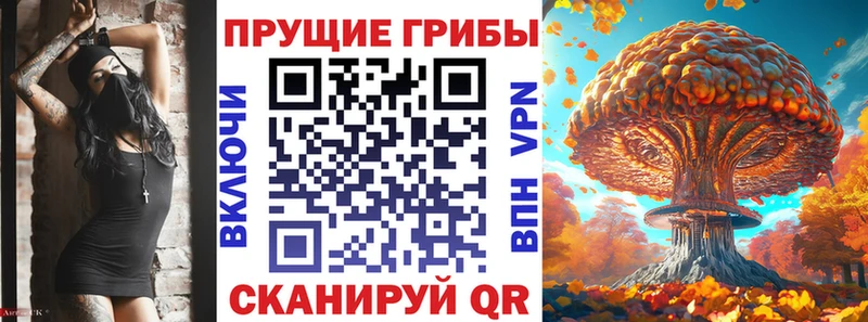 хочу   OMG вход  Псилоцибиновые грибы прущие грибы  Льгов 